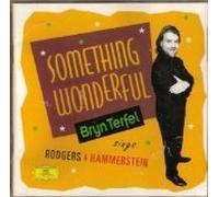 Bryn Terfel - Something Wonderful (UK
