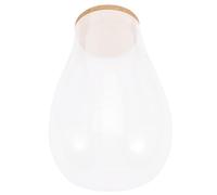 Bryophyte Ecological Glass Bottle DIY Micro Landscape Ornament