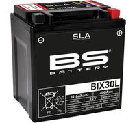 BS battery 300631 BIX30L SLA AGM Motorcycle Battery (Black)