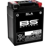 BS Battery SLA AGM Battery For Arctic Cat Textron 250 2X4 Black