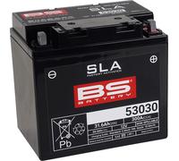BS Battery SLA AGM Battery For Polaris Sportsman XP 850 2009