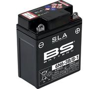 BS Battery SLA Battery Maintenance Free Factory Activated - 6N6-3B/B-1, size 100 mm