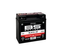 BS Battery SLA Battery for SLA12-20 / 12V 21.1Ah