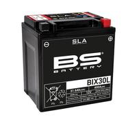 BS battery 300631 BIX30L SLA AGM Motorcycle Battery (Black)