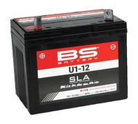 Bs Battery U1-12 Agm Battery