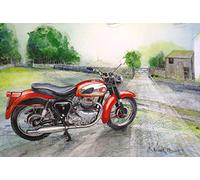 BSA -1961 A10 Golden Flash - The Worlds Greatest Motorcycle - Nostalgic - Metal Sign 3 Sizes To Choose From - Home Decor - Mancave - Unique Gift (8” X 6” 200 X 150 mm)