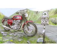 BSA 1969 Rocket Three The Worlds Greatest Motorcycle 300 x 200 mm Metal Sign
