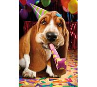 BSB Funny Birthday Card Birthday Greetings Birthday Wishes - Premium Line - Wiggle Image Dog with Horn - White Envelope