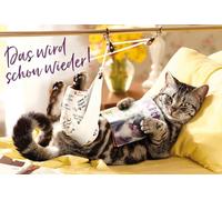 bsb General Recovery Card Das wird schon wieder wieder ! Cat with Dressing 421264-2