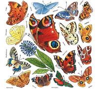 BSB Window pictures, paper, standard.