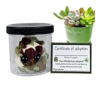 Bsbkoj Grass Ball Plush, Funny Crochet Little & Jar Toy, Cute Feature, Plush Stuffed Toy Desktop Ornament Crochet Stoner Accessory for Friends Boys Girls Home Office Decor