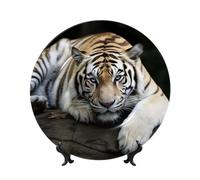 BSCKKDMN Bone China Decorative Plates, Tiger Lie On Rock Ceramic Decorative Plate With Display Stand Dinner Plates Art Crafts 10in Ceramic Ornaments Wall Decor For Home Office Table Decor