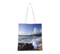 BSCKKDMN Puppys Pug Tote Bag For Women,Canvas Shoulder Bags With Pockets Shopping Bag Cute Reusable Grocery Bags, Puerto Rico - Beach, One Size