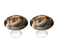 BSCKKDMN Two Lions Kitchen Cabinet Knobs Round Drawer Dresser Knob Pulls Decor with Screws Dresser Drawers Knobs for Home Office Kitchen