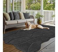 BSICPRO Large Dog Door Mat for Mud Paws, 71x47 Absorbent Dirt Trapper Long Door Mat, Non-Slip Washable Mud Mat for Dogs, Microfiber Soft Pet Rug Mat for Entryway, Dog Paws, Patio (Charcoal)