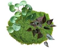 BSITSSS 50g Artificial Moss, Green Fake Moss Decorative with 2 PCS Artificial Plant for Garden Lawn Crafts Decoration