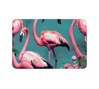 BSKGOHP Flamingo Flowers Print Door Mat with Non Slip Backing Indoor Outdoor Welcome Doors Mats