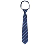 Bskifnn Kids Tie Boys Pre Tied Necktie Satin Stripe Neckties Adjustable for Age 4-7 Wedding Party Graduation Uniforms, Blue, Kid