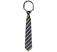 Bskifnn Kids Tie Boys Pre Tied Necktie Satin Stripe Neckties Adjustable for Age 4-7 Wedding Party Graduation Uniforms, Yellow, Kid