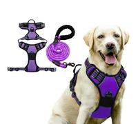 BSLVWG Dog Harness and Leash Set,Adjustable No Pull Harness with Front Back Clips,Soft Padded Pet Vest Harness,Heavy Duty Pet Vest to Prevent Tugging,Choking,Training and Walking (Purple, XL)