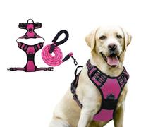 BSLVWG Dog Harness and Leash Set,Adjustable No Pull Harness with Front Back Clips,Soft Padded Pet Vest Harness,Heavy Duty Pet Vest to Prevent Tugging,Choking,Training and Walking (Hot Pink, XL)