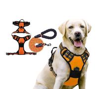 BSLVWG Dog Harness and Leash Set,Adjustable No Pull Harness with Front Back Clips,Soft Padded Pet Vest Harness,Heavy Duty Pet Vest to Prevent Tugging,Choking,Training and Walking (Orange, S)