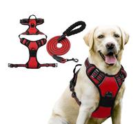 BSLVWG Dog Harness and Leash Set,Adjustable No Pull Harness with Front Back Clips,Soft Padded Pet Vest Harness,Heavy Duty Pet Vest to Prevent Tugging,Choking,Training and Walking (Red, XL)