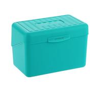 BSTKEY 4 x 6 inch Plastic Index Card Holder Recipe Card Box, 1 Green Flash Card Case Note Card Box Storage Organizer for 10 x 15cm Index Card Flashcard Recipe (No Cards)