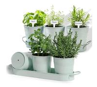 BSTMOME 2 Sets of 3x Herb Pot Planter Holders with Tray, Decorative Metal Flower Pot Succulent Pots Windowsill Planter Pots for Kitchen Grow Indoor Garden Outdoor Use (Green)