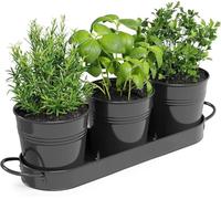 BSTMOME Herb Pot Planter Set with Tray for Indoor/Outdoor Use, Decorative Metal Succulent Pots Flower Pots for Kitchen Grow (Black)