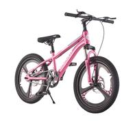 BSTSEL Kids Bike 18" 20" 22" 24" Inch Youth Bike Shock Absorber Bike,12.25-Inch Frame,V-Brakes,Suitable for 9-14 Year Old Boys and Girls Mountain Bikes Pink Blue Bicycle (Pink, 22)