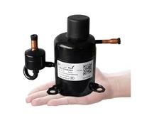 BSW020SKEW3GGA Portable Miniature DC Frequency Conversion Rotary Compressor Refriger R134a Refrigerant Refrigerator Parts