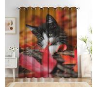 BSYYZQC Norwegian Forest Cat Bedroom Curtains Maple Leaf Curtains with Hooks, Digitally Printed Soundproof Curtain, Thermal Insulated Blackout Drapes 55"X69"(W X L) 2 Panels, for Decor