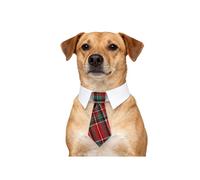 BT Bear Christmas Dog Ties Xmas Tie Neckties Collars for Cats Small Dogs Medium Large Dogs (Red green grid, M)
