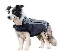 BT Bear Dog Anti Bite Suit,Dog Thick Padding Vest with Rivet Nail Anti Attack Pet Jacket for Puppy Small Dogs (XS,Grey)