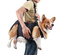 BT Bear Dog Carry Sling, Senior Dog Support & Rehabilitation Harness, Up & Down Stairs, Arthritis & Injuries (M)