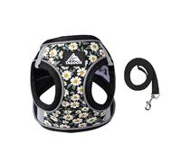 BT Bear Dog Harness and Lead Set,Daisy Flower Adjustable Soft No Pull Dog Vest Harness, Breathable Pet Harness for Cats Puppy Small Dogs(Black,M)