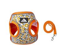 BT Bear Dog Harness and Lead Set,Daisy Flower Adjustable Soft No Pull Dog Vest Harness, Breathable Pet Harness for Cats Small Dogs Medium Dogs (Orange,L)