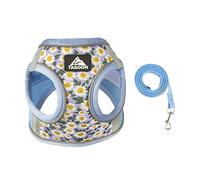 BT Bear Dog Harness and Lead Set,Daisy Flower Adjustable Soft No Pull Dog Vest Harness, Breathable Pet Harness for Cats Puppy Small Dogs(Blue,XS)