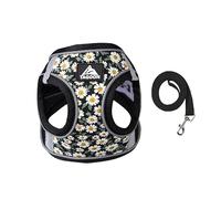 BT Bear Dog Harness and Lead Set,Daisy Flower Adjustable Soft No Pull Dog Vest Harness, Breathable Pet Harness for Cats Puppy Small Dogs(Black,S)