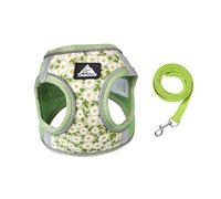 BT Bear Dog Harness and Lead Set,Daisy Flower Adjustable Soft No Pull Dog Vest Harness, Breathable Pet Harness for Small Dogs Medium Dogs (Green,XL)