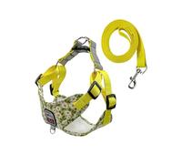 BT Bear Dog Harness and Lead Set,Daisy Flower Adjustable Soft Small Dog Vest Harness,Breathable Pet Harness for Cats Small Dogs Medium Dogs (Yellow,L)