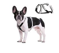 BT Bear Dog Harness, Bling Bling Rhinestone Crystal Dogs Harnesses Adjustable Safe Buckle Pet Harness for Cats Small Dogs (Black, XS)