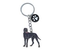 BT Bear Dog Key-ring Keychain,DO ID Tag Cute Metal Dog Keychain Keyring Keyfob Bag Charm（Great Dane）