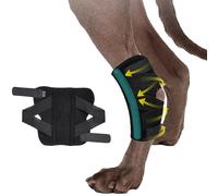 BT Bear Dog Leg Braces, Dog Hock Joint Brace with Two Metal Spring Inserts, Dog Hock Splint for Fractures, Wound Healing, Sprains and Canine Arthritis (L/XL)