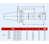 BT30 BT40 BT LBK Boring Tool Holder LBK1 LBK2 LBK3 LBK4 LBK5 LBK6 For CBH EWN RBH Fine Rough Head CNC Lathe Milling Tools Mill Chuck Holder(BT40-LBK2-135L)