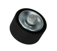 BTA E28002BTA Tensioner pulley