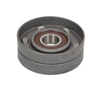 BTA E2X5352BTA Tensioner Lever, v-ribbed belt