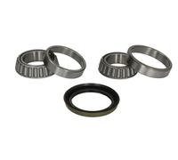 BTA H10060BTA Wheel bearing kit