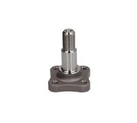 BTA H51014BTA Wheel Hub for DACIA,NISSAN,RENAULT